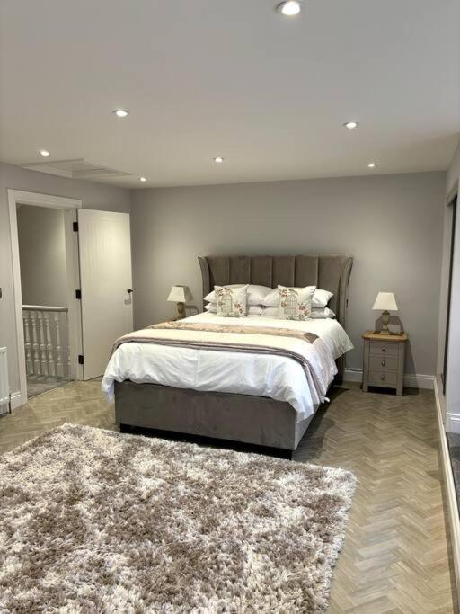 The Colonel Villa Lisburn Bagian luar foto